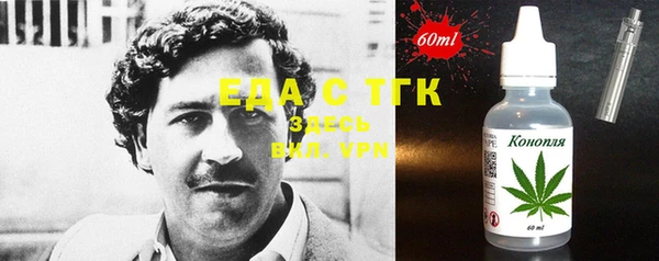 индика Арсеньев