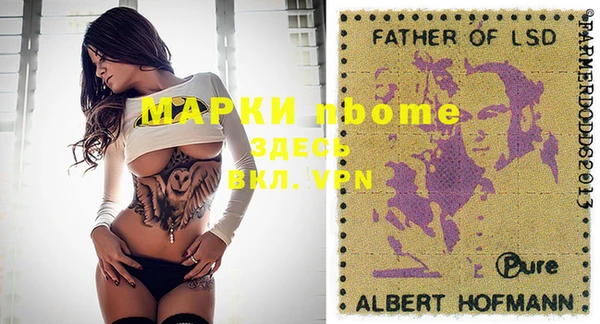 индика Арсеньев