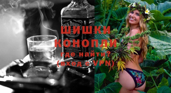 индика Арсеньев