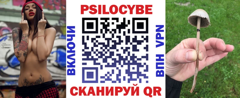 Галлюциногенные грибы Psilocybine cubensis Покров